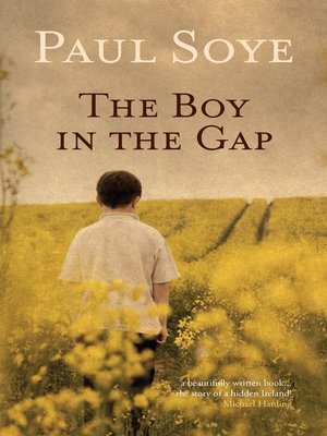 cover image of The Boy in the Gap